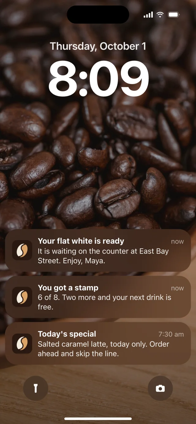 The Saltbean app, Notifications
